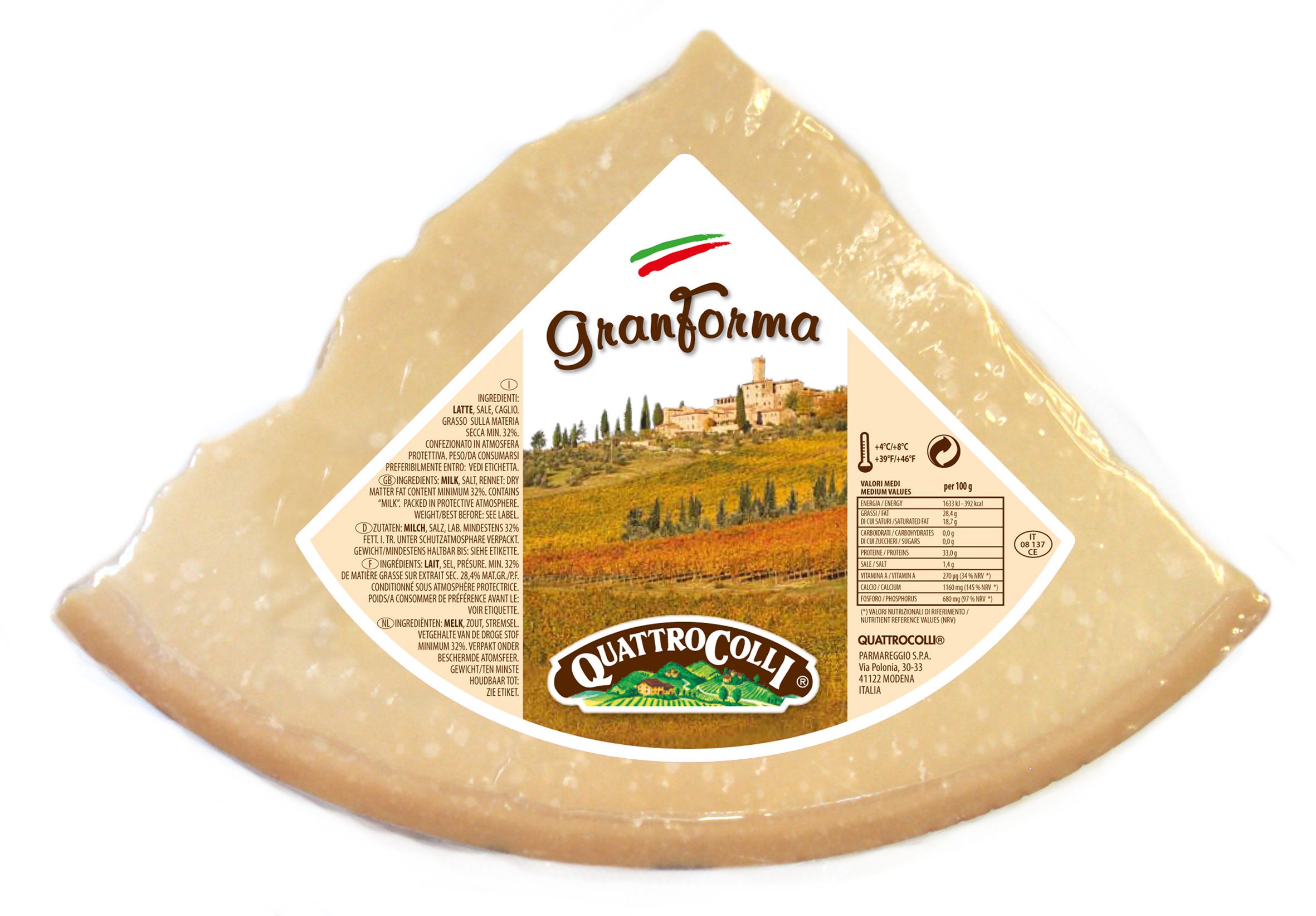 Gran Forma Italienischer Hartkäse