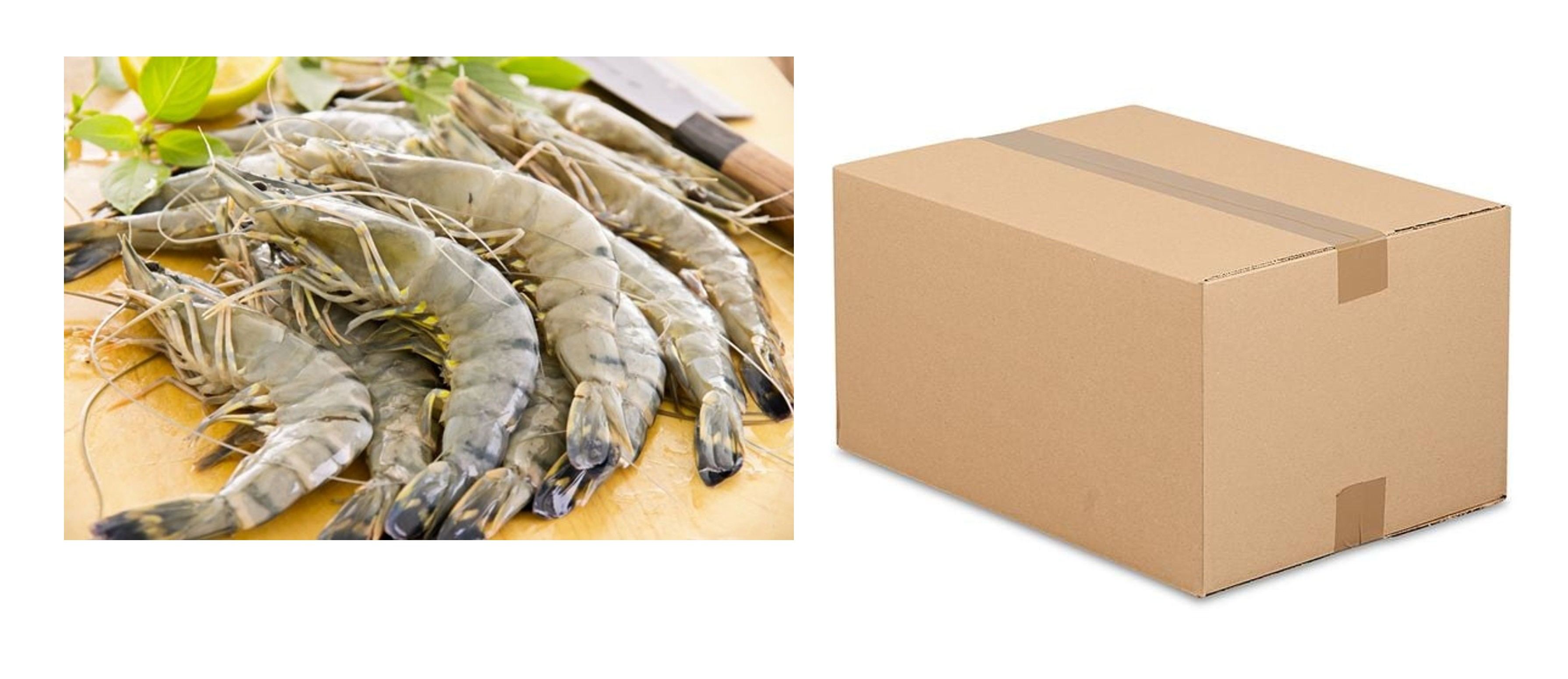 Black Tiger Crevetten ganz 8/12