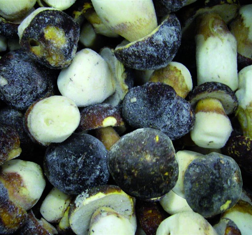 Gefrorene Steinpilze ganz extra Pagnan