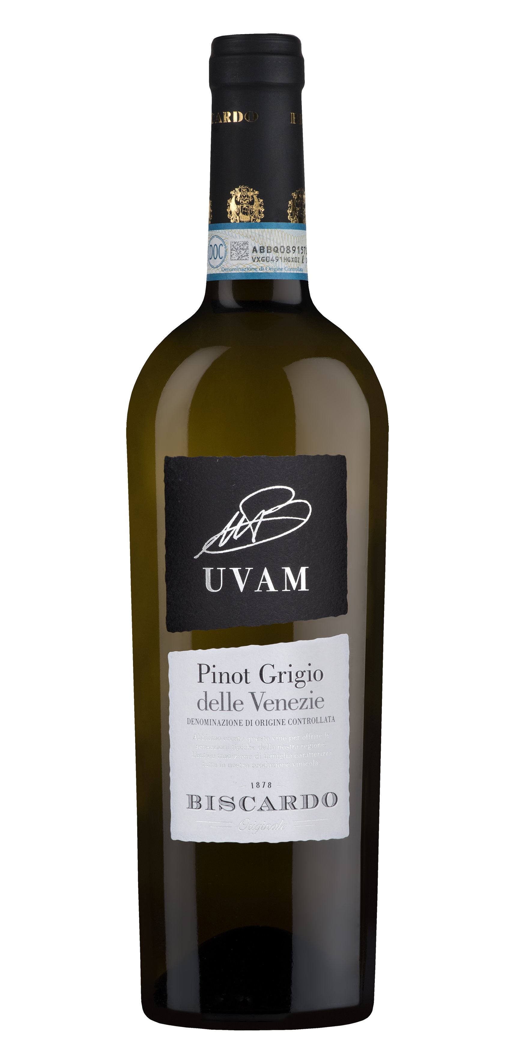 Pinot Grigio delle Venezie DOC UVAM 2024